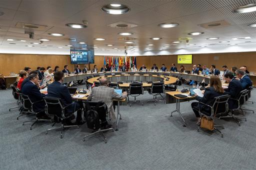 19/05/2025. Sectoral conference to monitor the tariff situation with Regional Governments. Sectoral conference to monitor the tariff situati...
